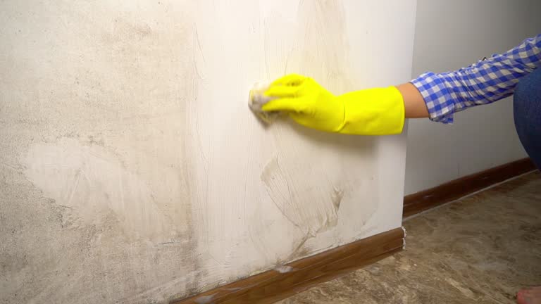 Best Airborne Mold Testing  in Collegeville, PA