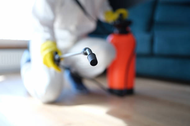 Best Mold Prevention Services  in Collegeville, PA