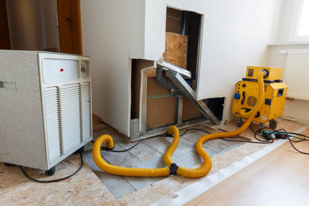 Best Residential Mold Inspection & Testing  in Collegeville, PA