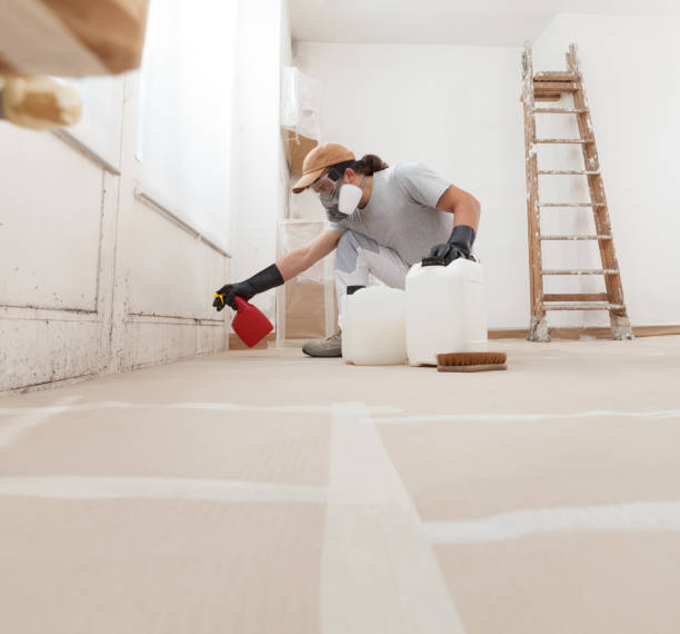 Mold Remediation for Vacation Homes in Collegeville, PA