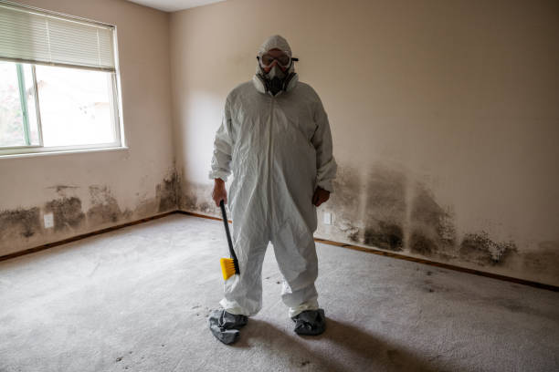 Forensic Mold Investigation in Collegeville, PA
