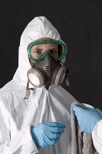 Best Mold Damage Restoration  in Collegeville, PA